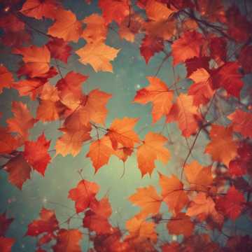 Cancion De Otoño V2
