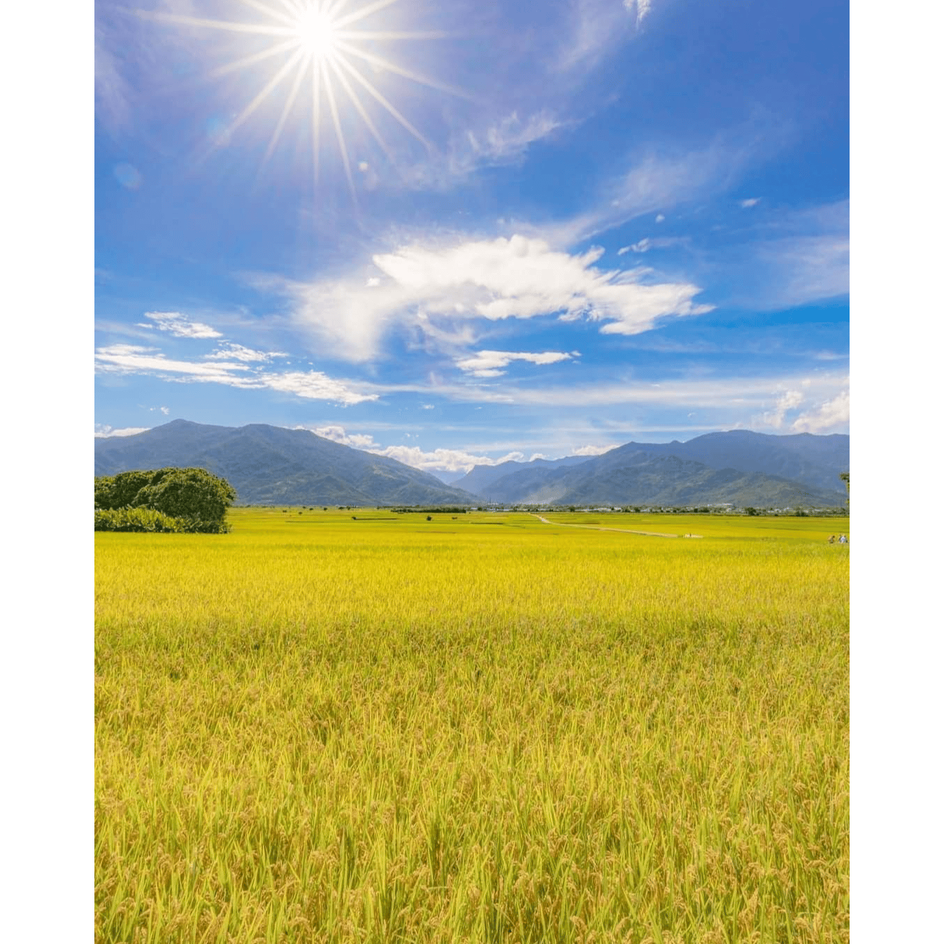 เมืองไทยนี้งาม/This Beautiful Thailand