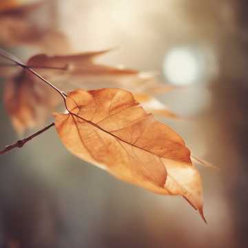 I still believe in love unseen