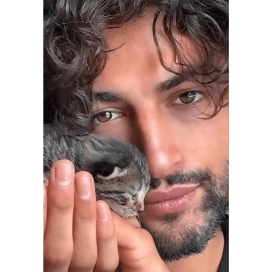 A cat called Spigo