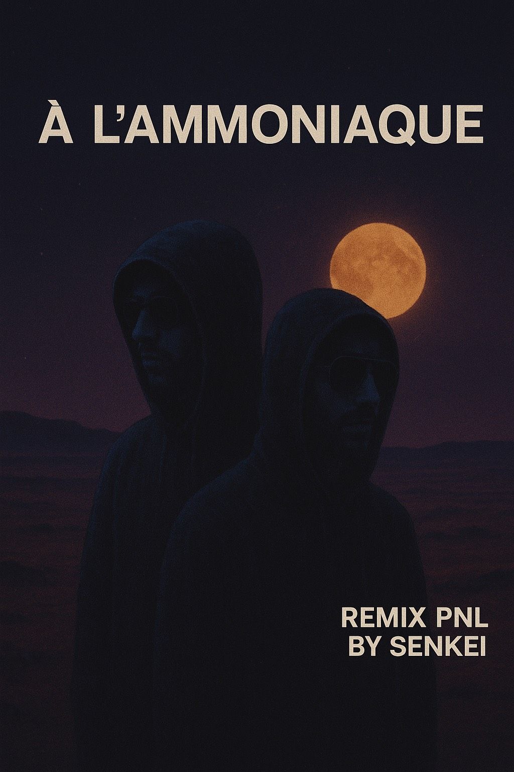 PNL 🥷 Style : À L’Ammoniaque. REMIX 2025.