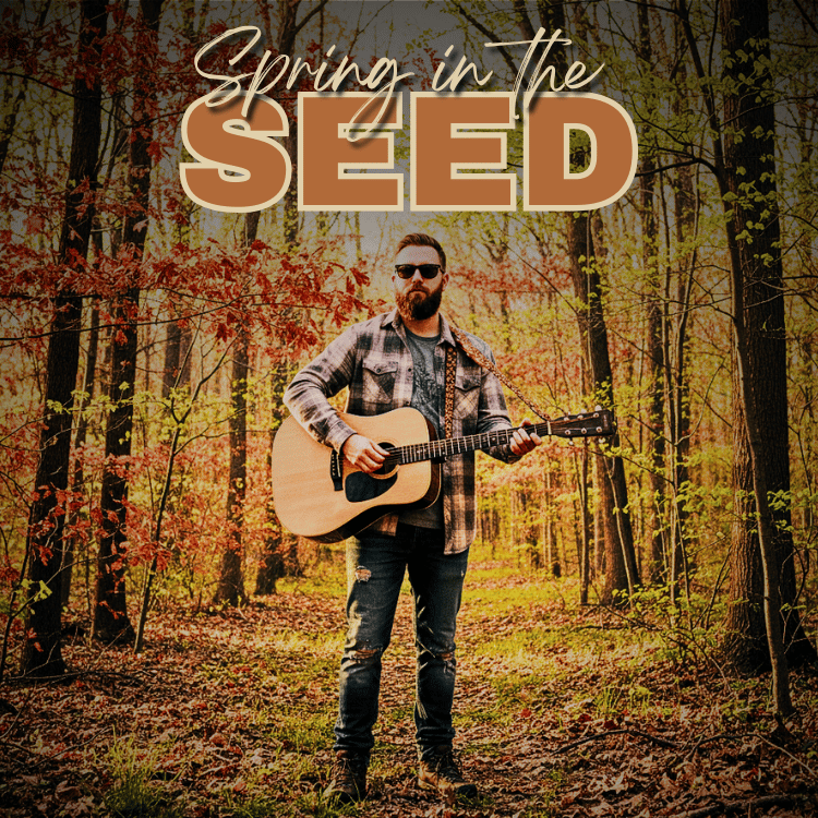 Spring in the seed