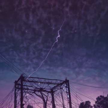 Muse in the Wires