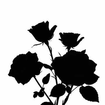 BLACK_ROSES