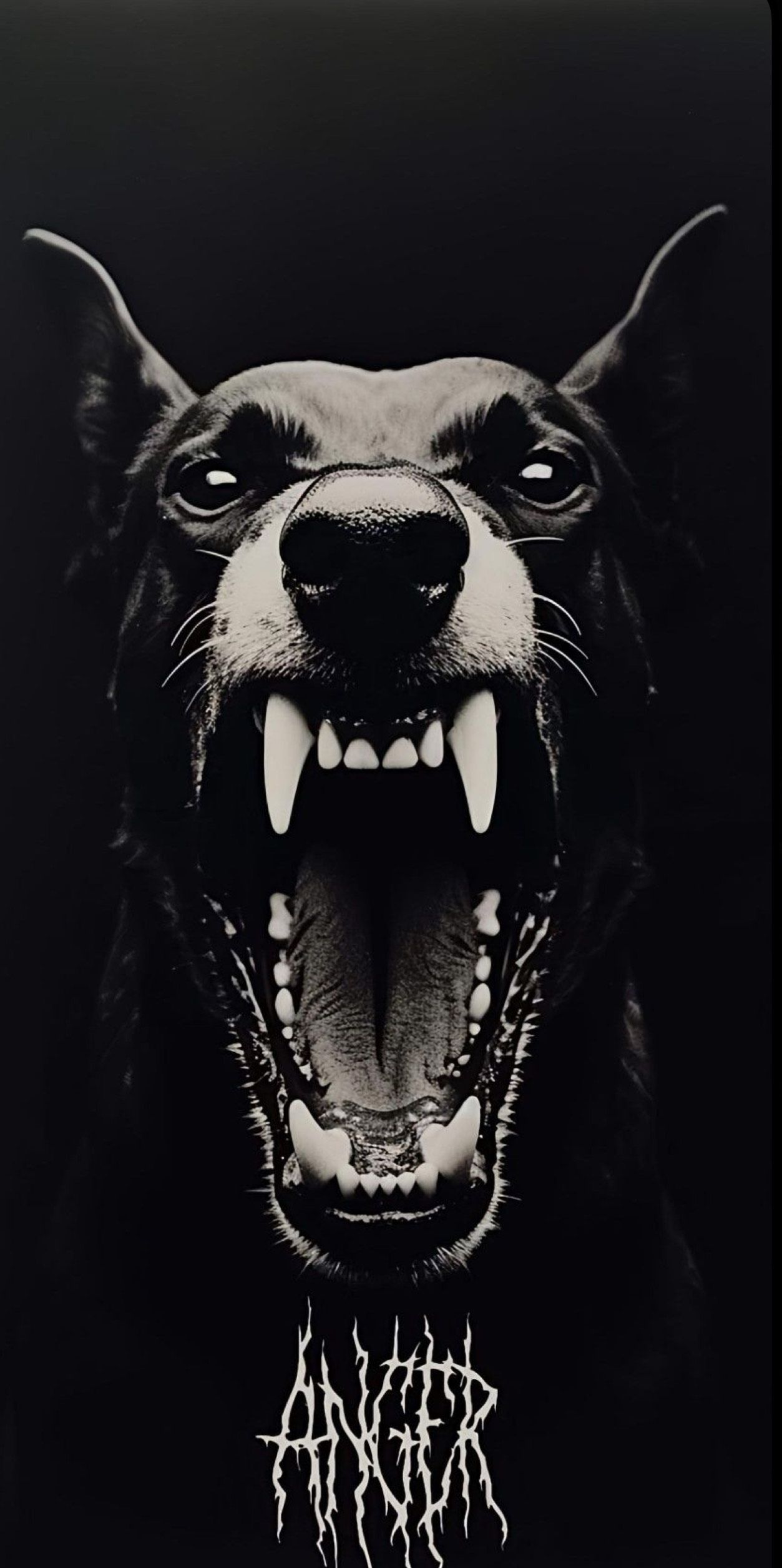 Bandit • RAP