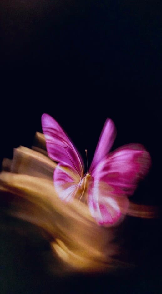 You Give Me Butterflies