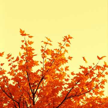 Le Peintre de l'Automne Remix
