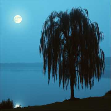 Moonlight on the Riverbend