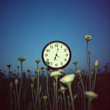 Stone-Song for the Yet-Alive