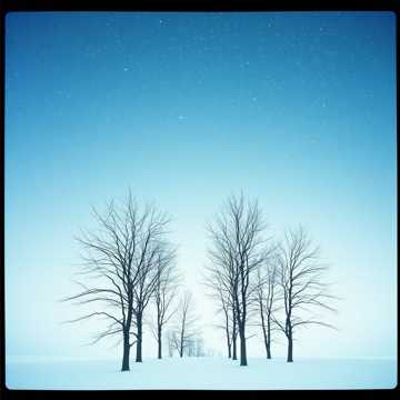 December's Shadow