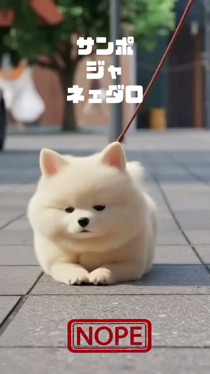 サンポ・ジャ・ネエダロ（犬の歌）