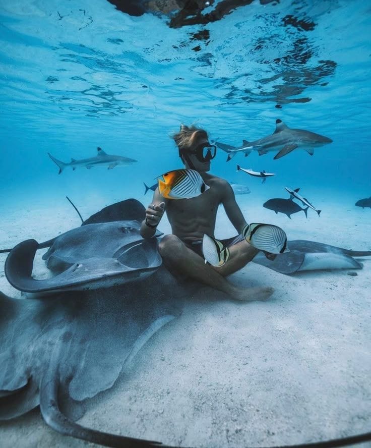 Sous les Vagues (Under the Waves)