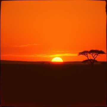 AFRICA💫