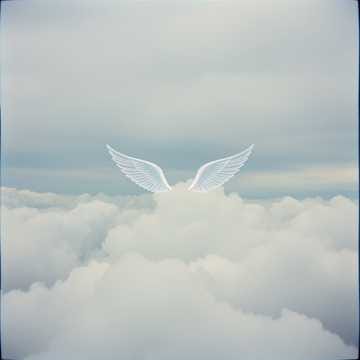 Rise Above
