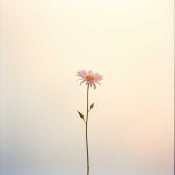 Silent Artificial Flower