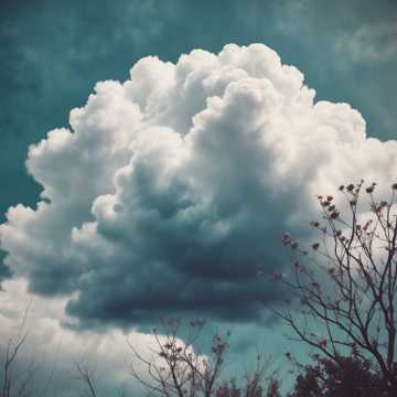 כוח ועדינות (Power and Tenderness)