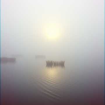 Luz del Alba