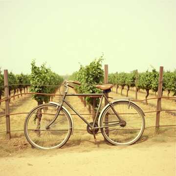 Epic Road Trip Tales - v59 - Wives' - Wollersheim Summers