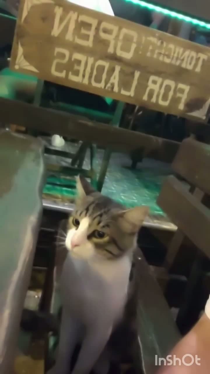 Bebé, ¿qué fue?