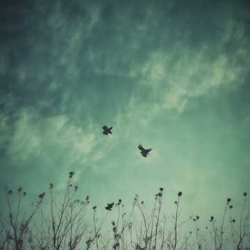 Valentinstag Blues (Remix) (Cover) (Cover) (Cover) (Cover) (Cover)