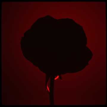 Blood Hides Secrets V2