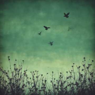 Valentinstag Blues (Remix) (Cover) (Cover) (Cover) (Cover) (Cover)