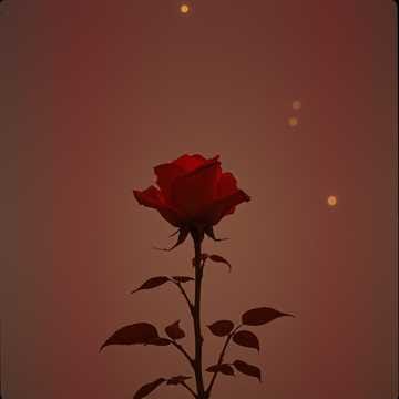 Rose (Danke für die Zeit)