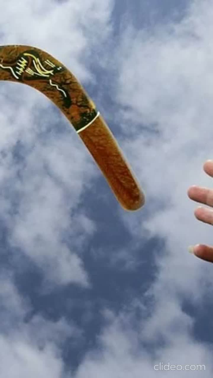 Le boomerang