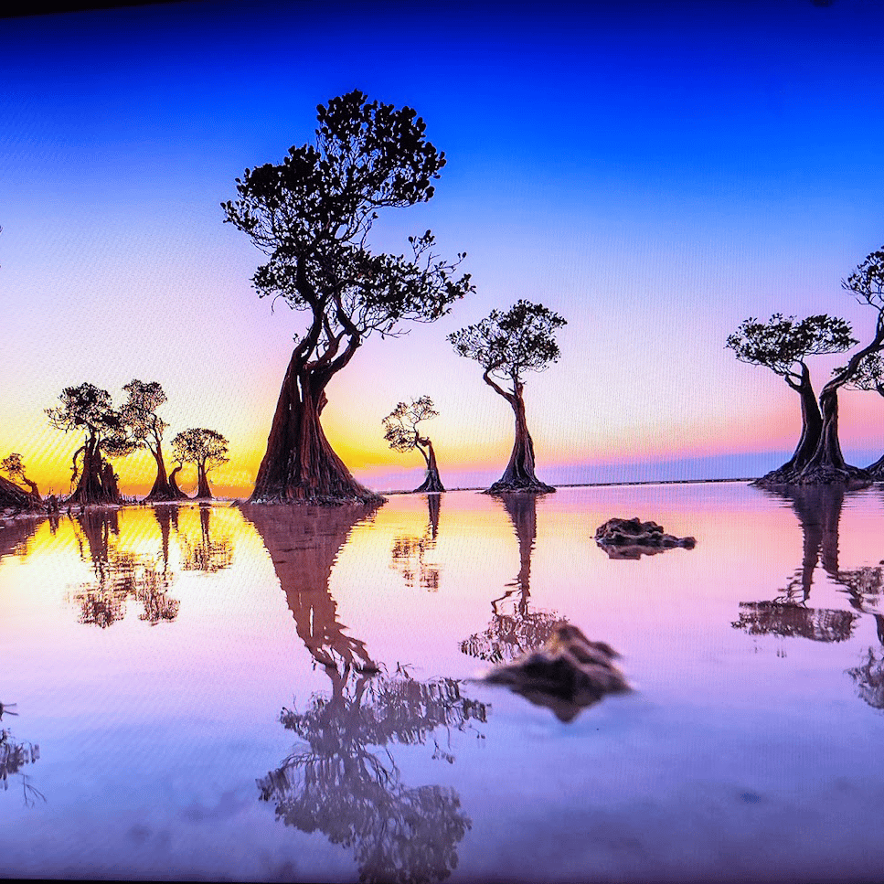 ... en reflet gisant