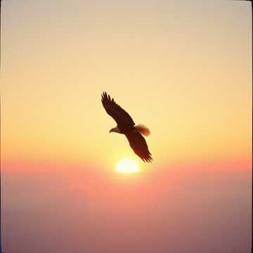 輸給追求，嫁給幸福/Lose to the Pursuit, Marry Happiness