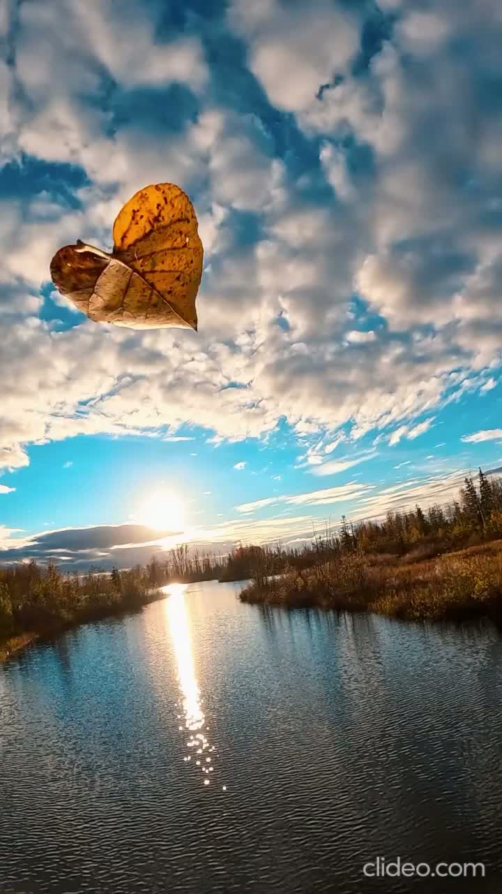 Moments in the Sun