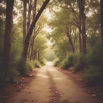 人生的路口