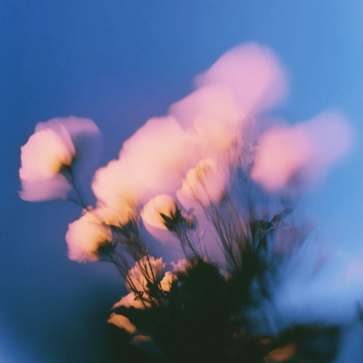 碎光 | Fragments of Light