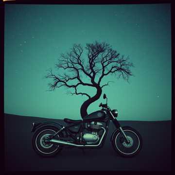 La rencontre de la moto et de l'arbre 2