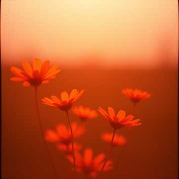 불꽃처럼 (Play With Fire – Sentimental Ver.)