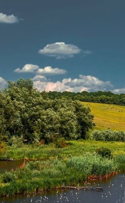 Україна – в кожнім серці (© text)