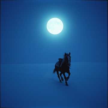 Traveler (Путник)