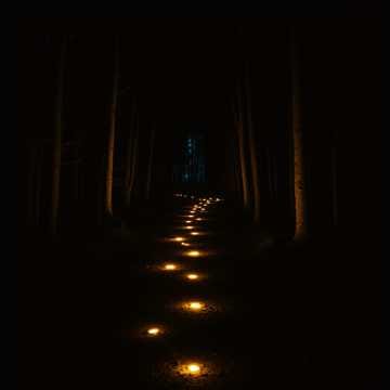 Light My Steps