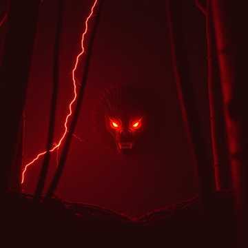 Feral 