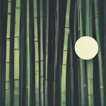 Whispers of the Bamboo