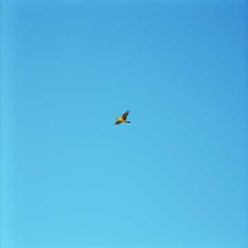 Tinggalkan Awan (Leave the Clouds Behind)