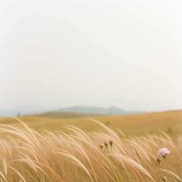 Stop and Breathe (Berhenti dan Tarik Napas)