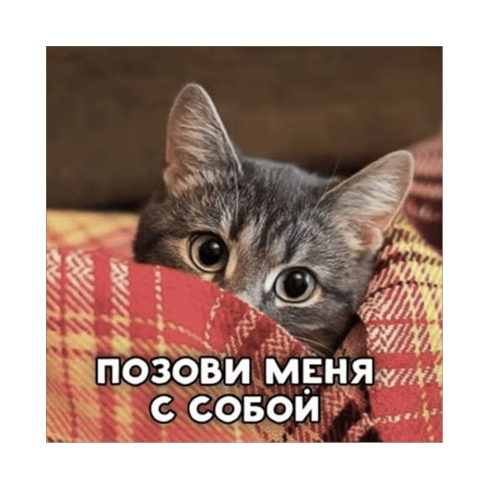 Позови Кота с Собой (Remix)