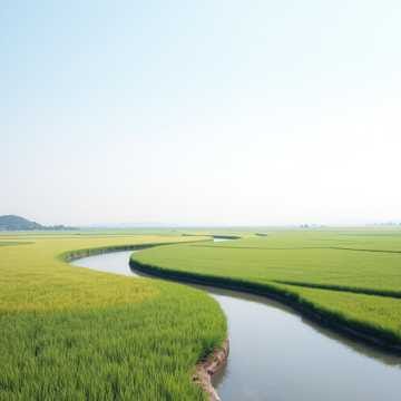 Quê Tôi Miền Tây