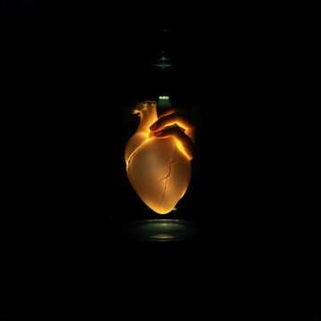 ✦ HEARTBEAT IN AN EMPTY ROOM ✦