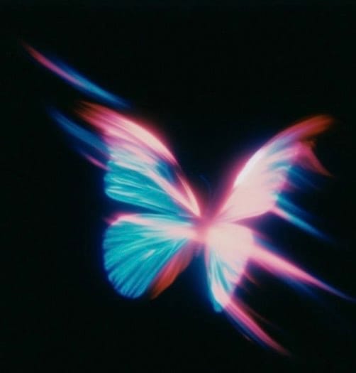Let It Flutter