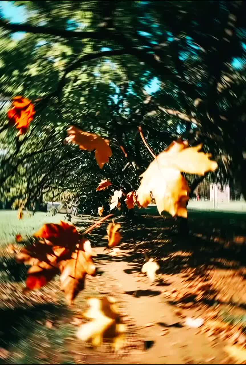 Falling Leaves!!