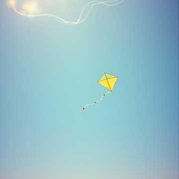 Cerf-volant (2)🪽