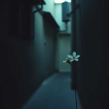 서툰날들의 초상(Portrait of Clumsy Days)