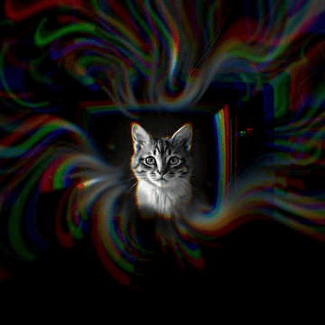 Purranoid